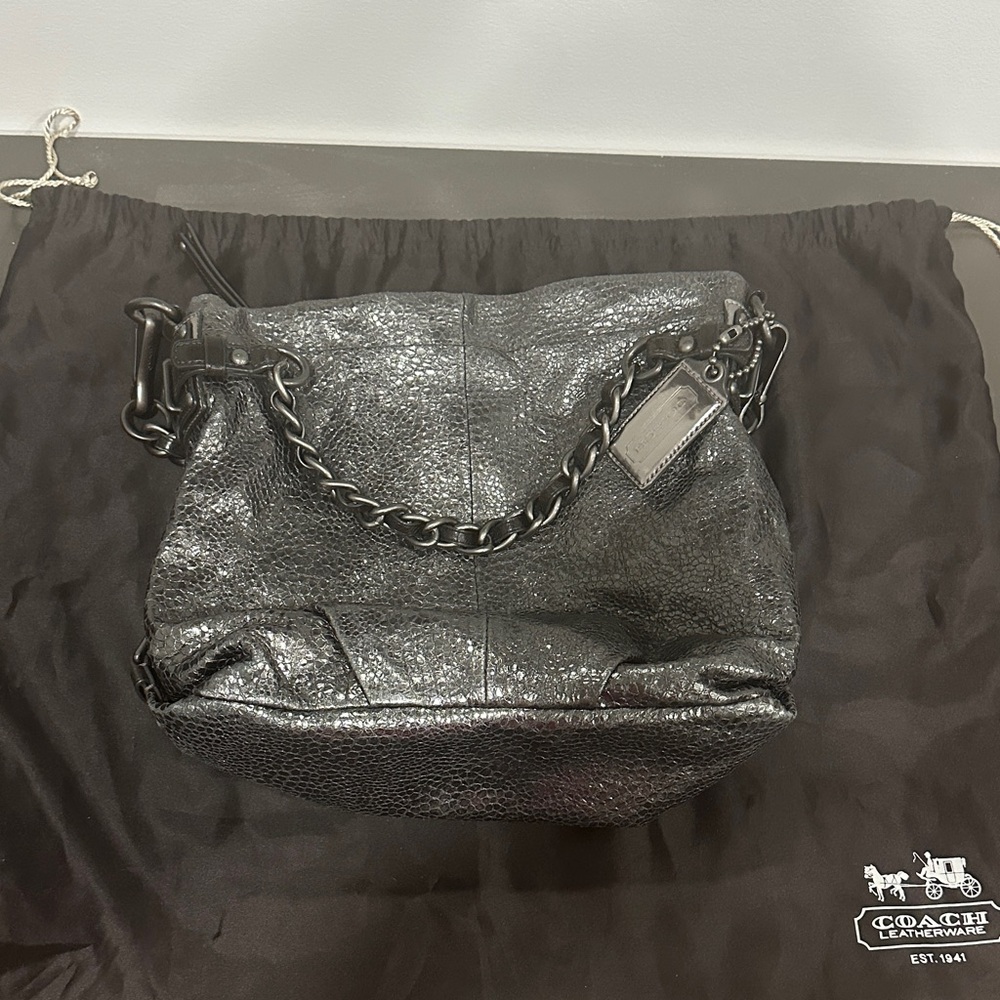 Coach Women's Metallic Leather Hobo Bag